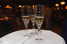 © D.M. Troutman | www.dmtimaging.com